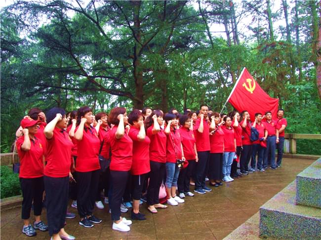 全體黨員黨旗下重溫入黨誓詞，紅心向黨、不忘初心