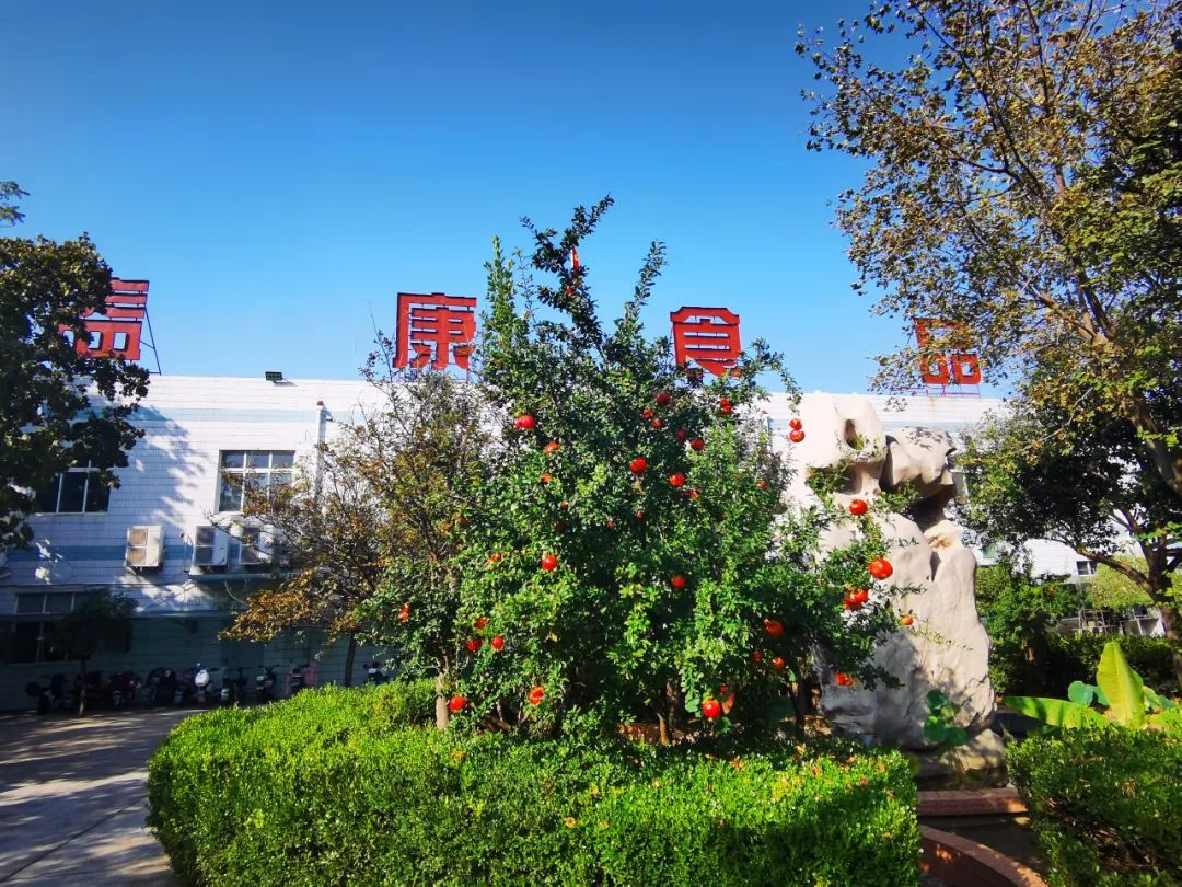 石榴熟了 石榴熟了