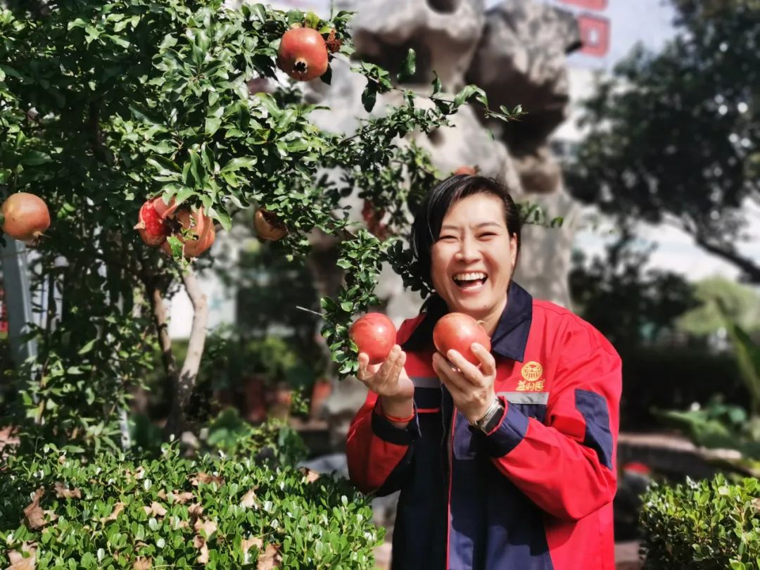 碩果累累 碩果累累