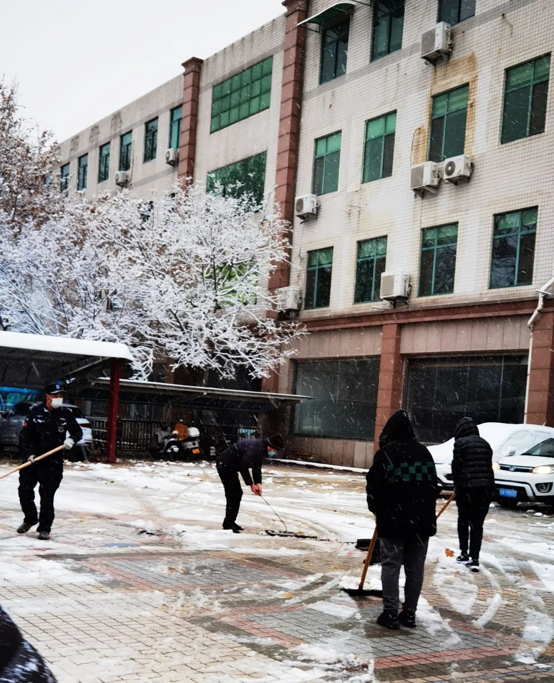 2023初雪清掃行動(dòng)