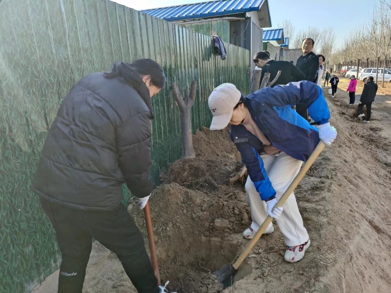 植樹正當時 植樹正當時