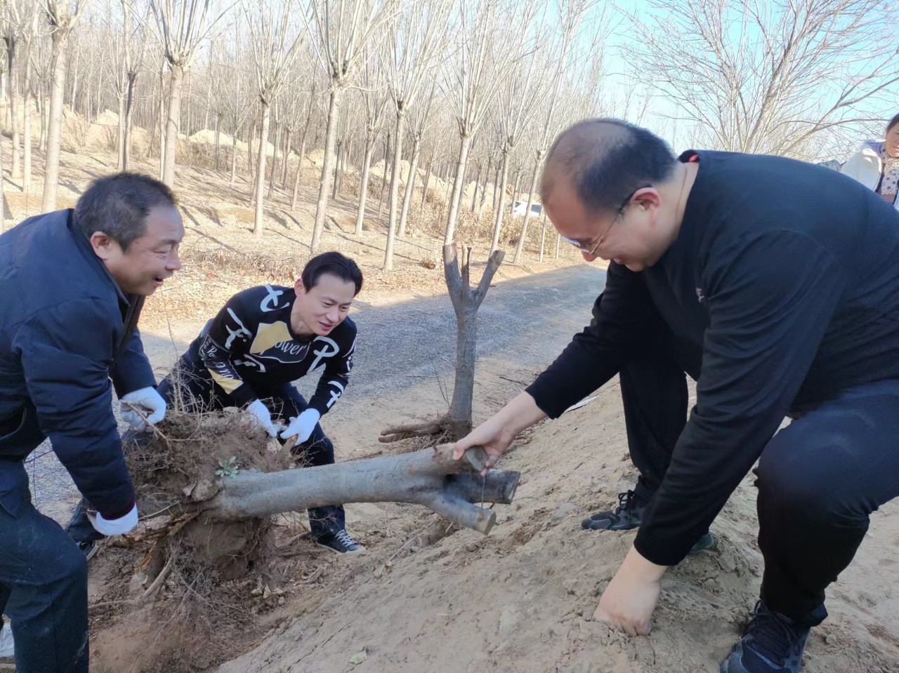 植樹正當時 植樹正當時