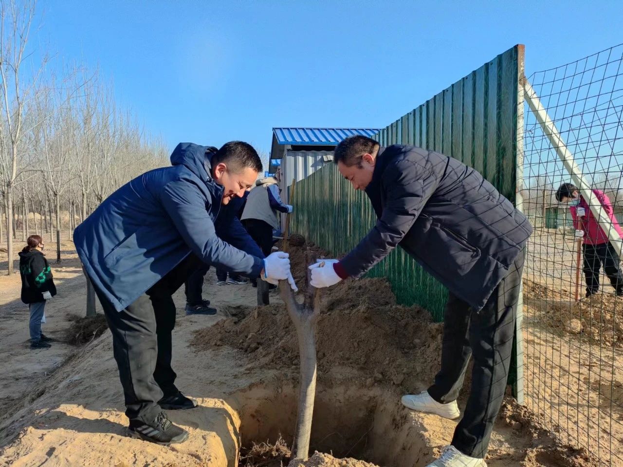 植樹正當時 植樹正當時