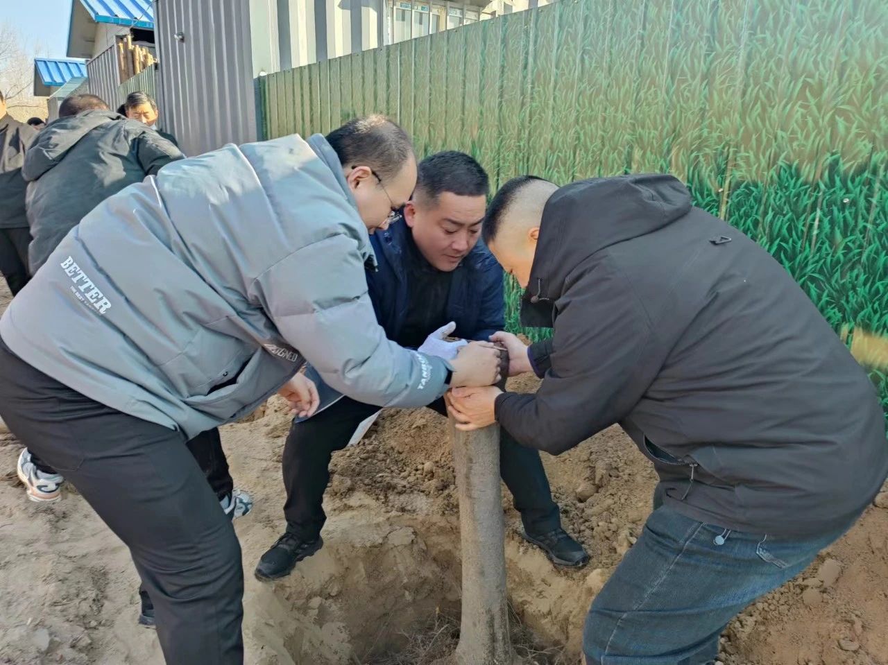 植樹正當時 植樹正當時