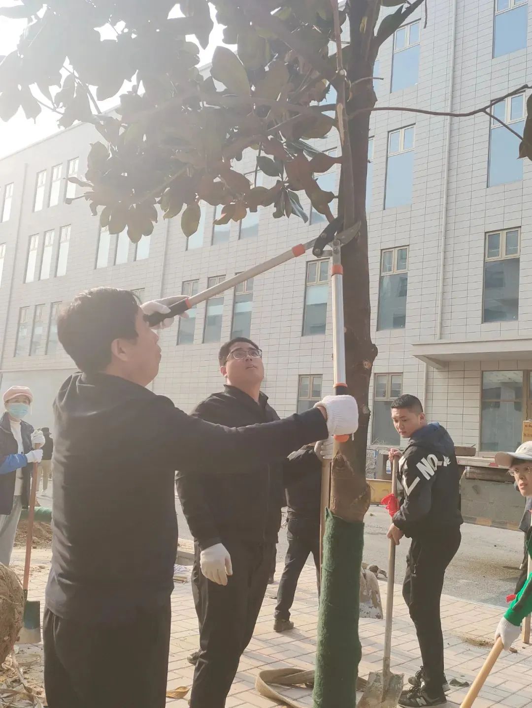 熱火朝天的植樹現(xiàn)場