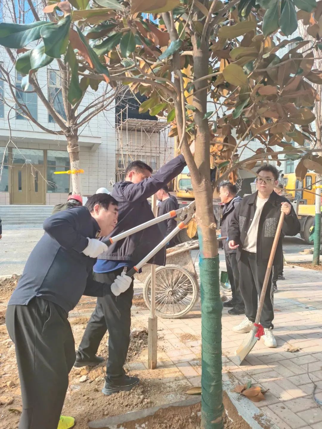 熱火朝天的植樹現(xiàn)場