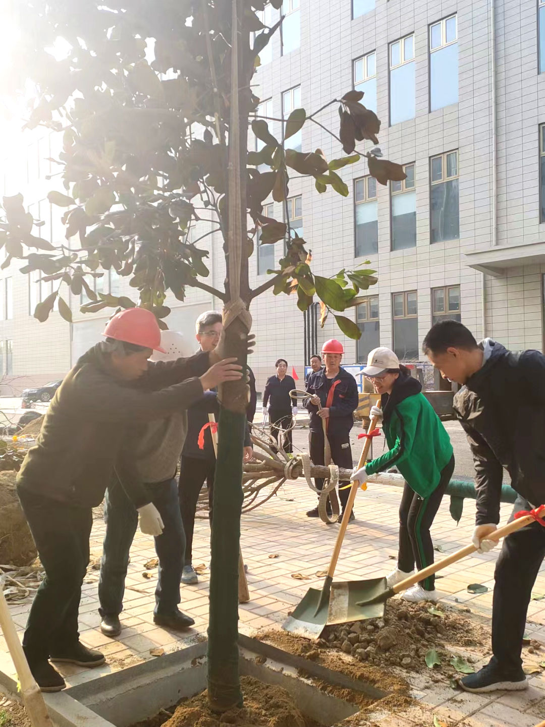 播種綠色，收獲希望。