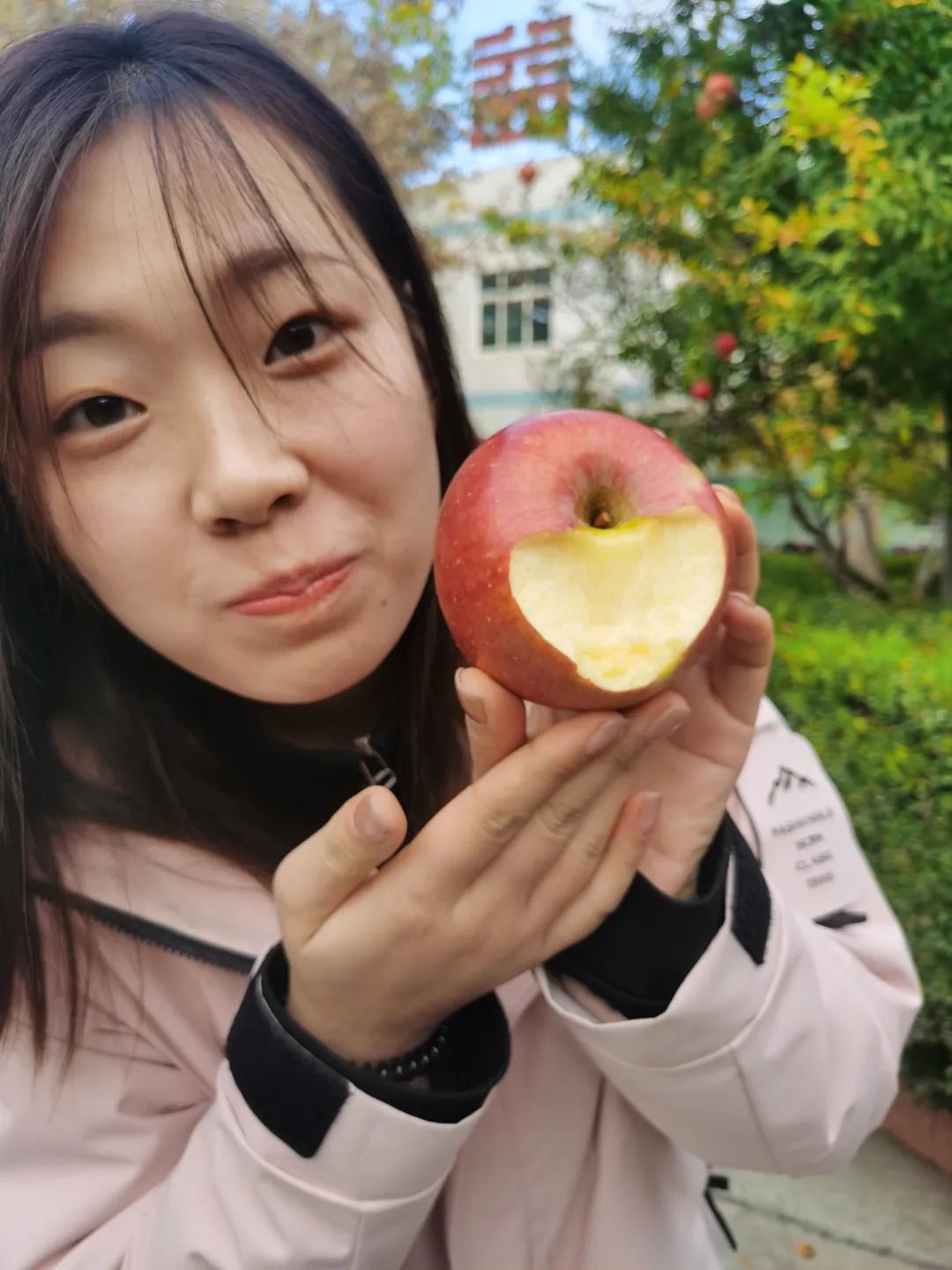 來自沂蒙六姐妺家鄉(xiāng)的蘋果真的很好吃喲！