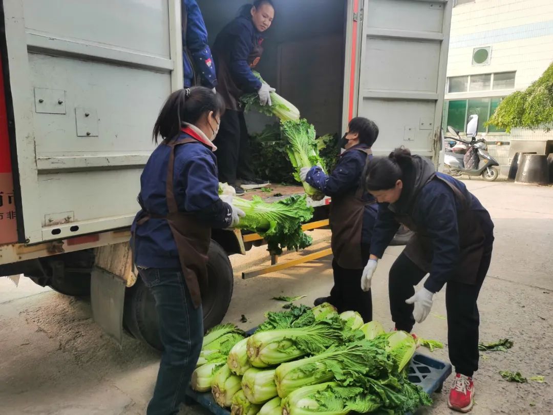 “蔬”送美好 “蔬”送美好