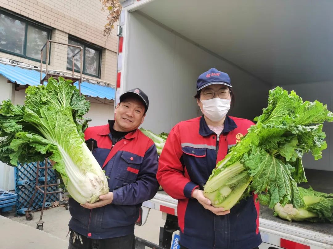 “蔬”送美好 “蔬”送美好