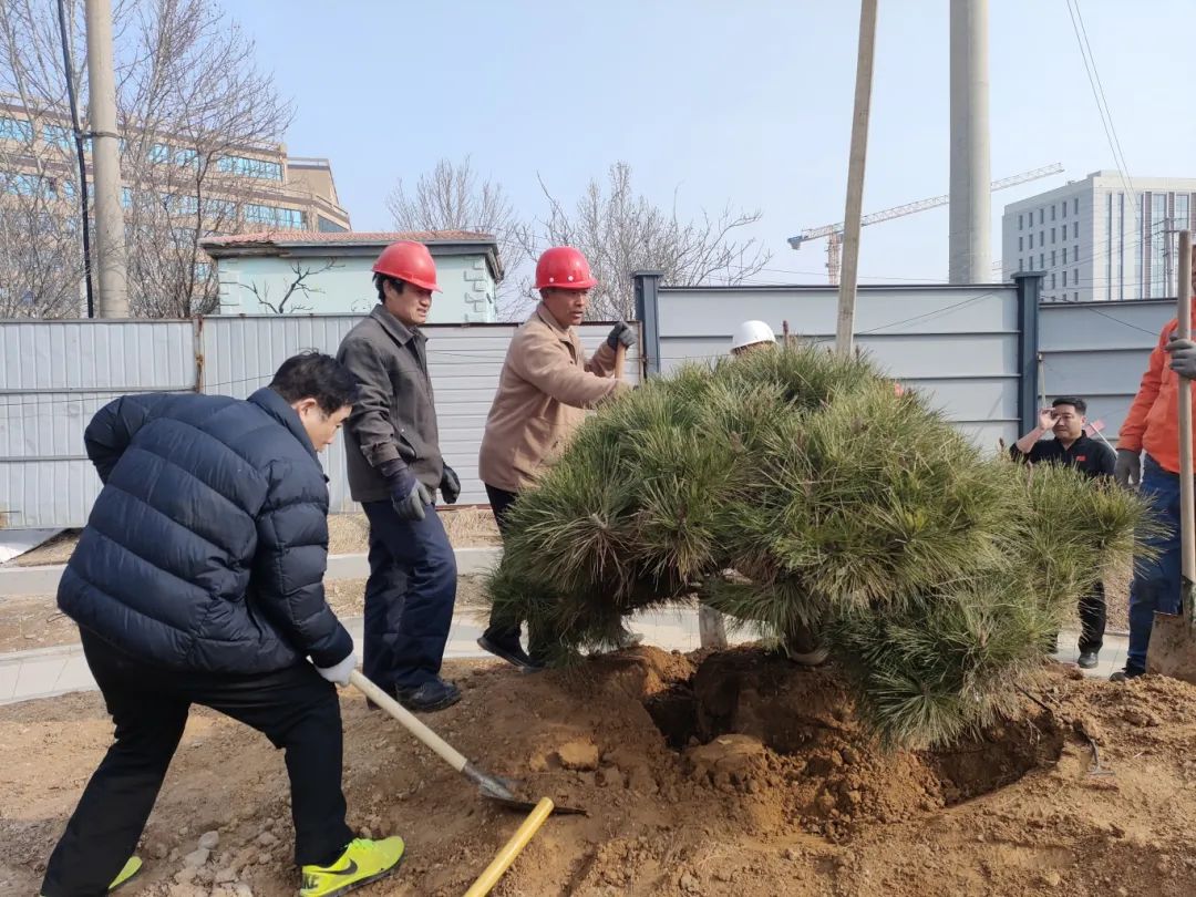 熱火朝天植樹(shù)現(xiàn)場(chǎng)