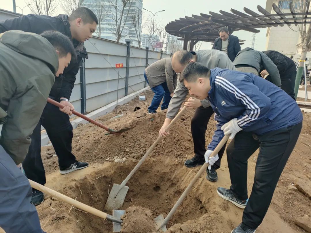 熱火朝天植樹(shù)現(xiàn)場(chǎng)