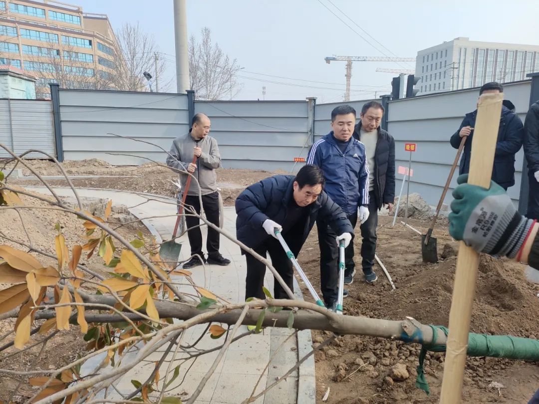 熱火朝天植樹(shù)現(xiàn)場(chǎng)