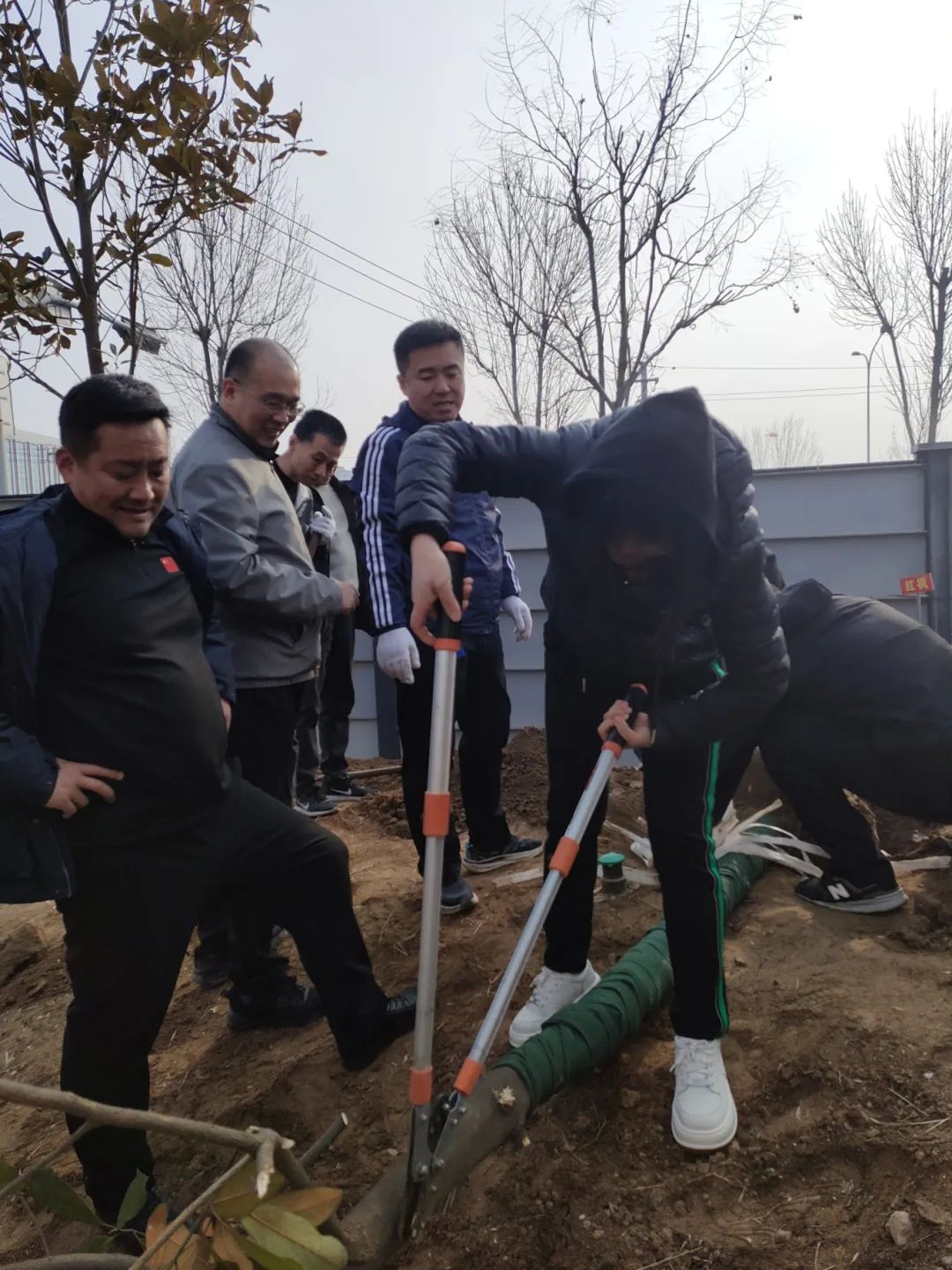 熱火朝天植樹(shù)現(xiàn)場(chǎng)