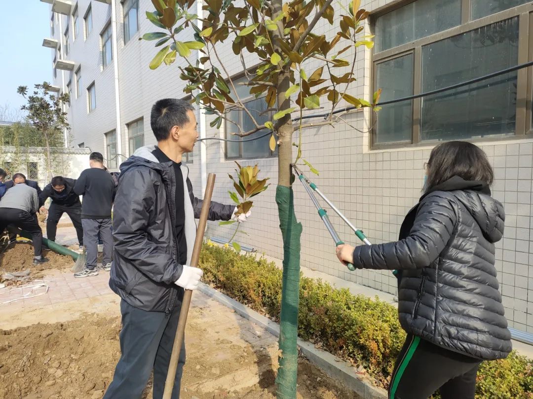 熱火朝天植樹(shù)現(xiàn)場(chǎng)