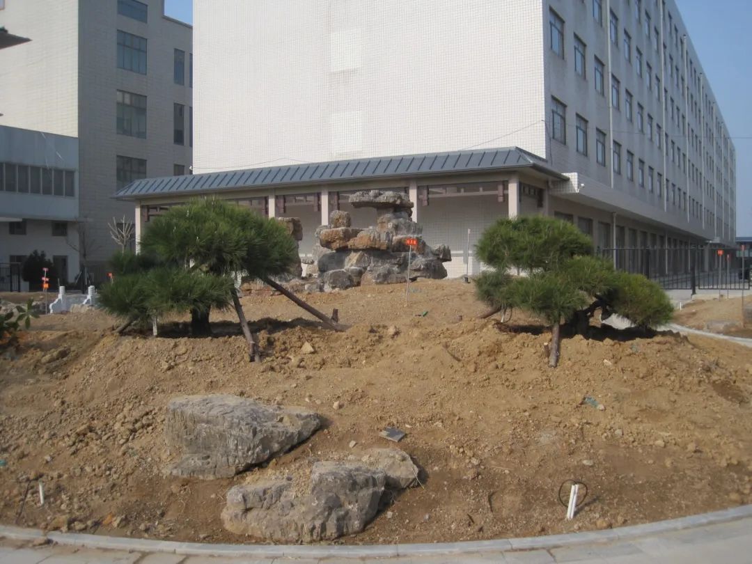 熱火朝天植樹(shù)現(xiàn)場(chǎng)