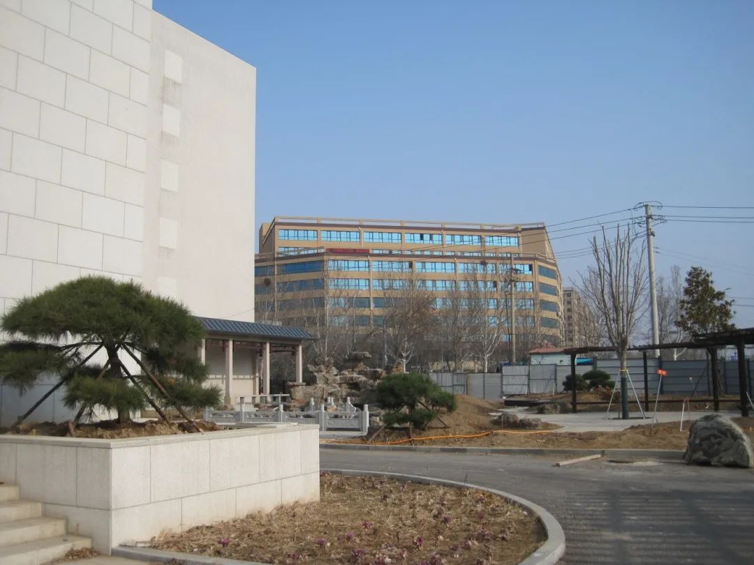 熱火朝天植樹(shù)現(xiàn)場(chǎng)