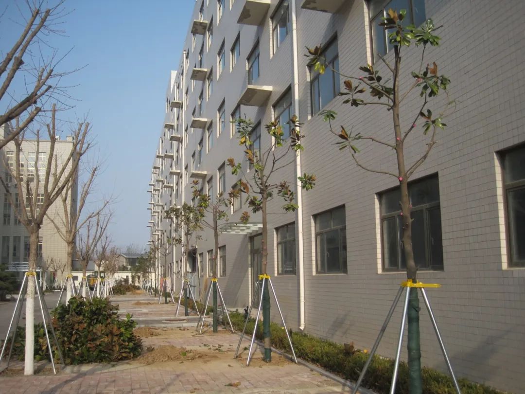 熱火朝天植樹(shù)現(xiàn)場(chǎng)