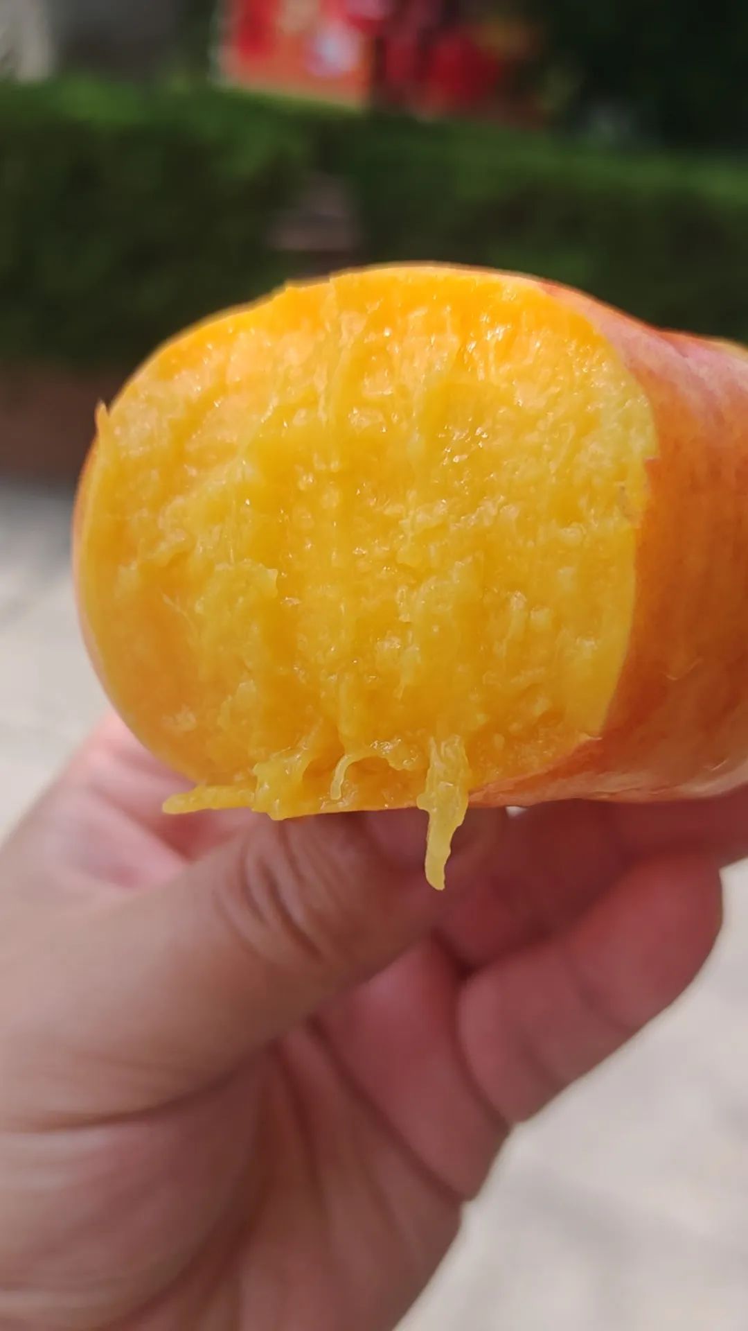 今夏福利桃香滿滿>>>>&ldquo;桃&rdquo;你歡喜！益康專屬&ldquo;桃&rdquo;好福利請(qǐng)查收