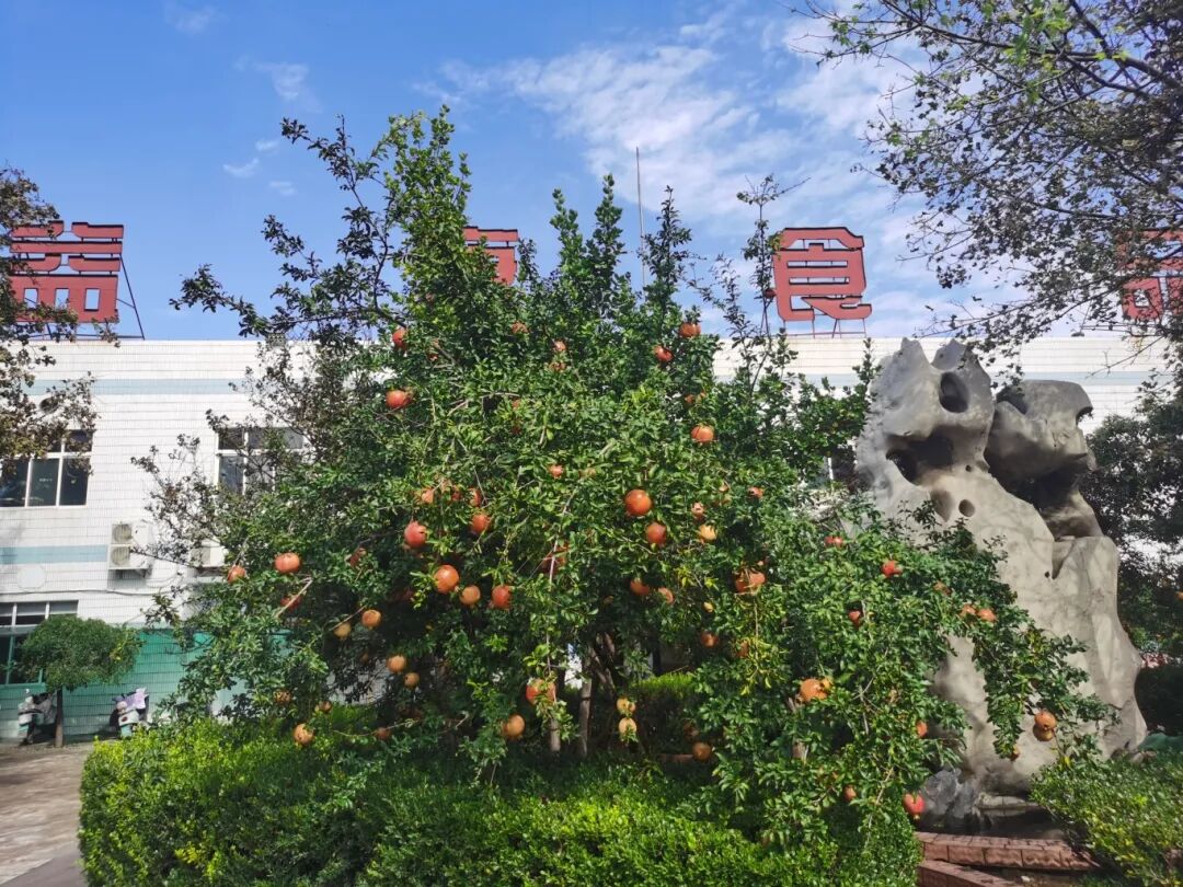 共享采摘樂趣，共慶豐收喜悅