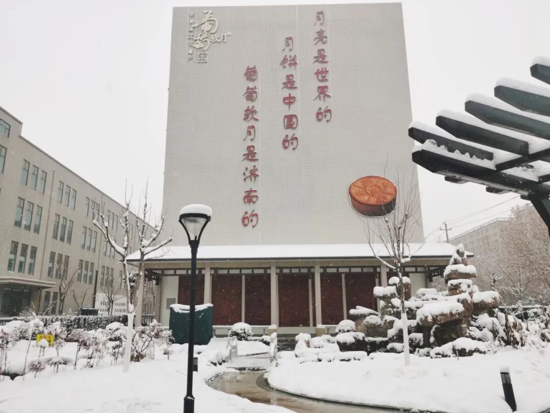 濟(jì)南益康開展2025掃雪除冰活動(dòng)