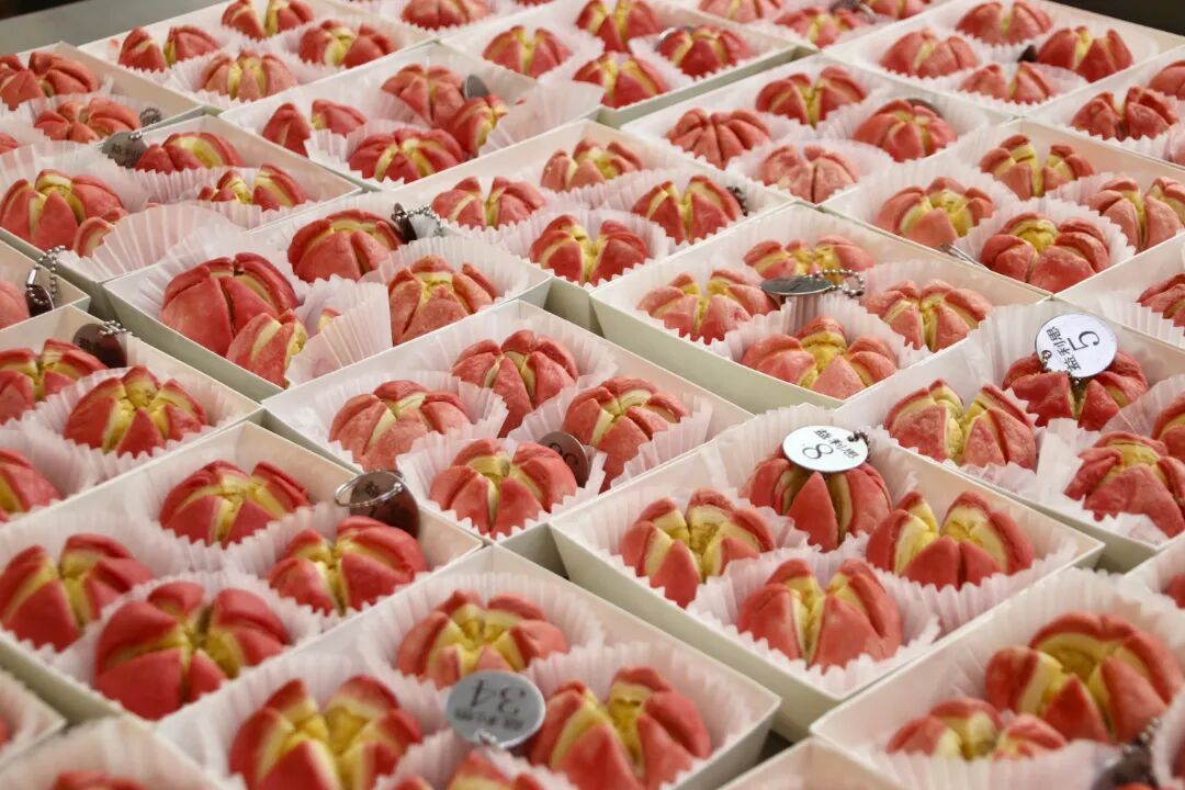 致敬閃閃發(fā)光的她