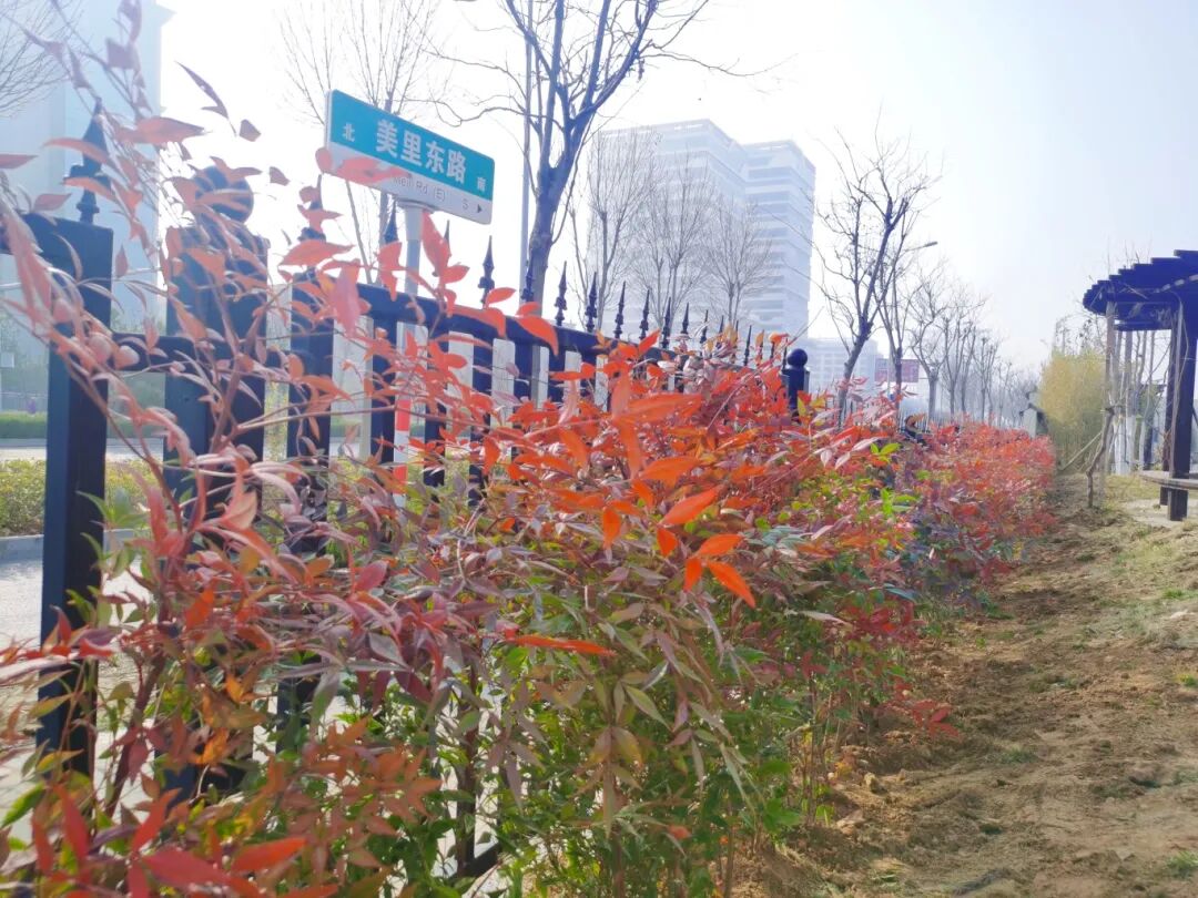 濟(jì)南益康益利思植樹節(jié)