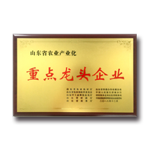 益利思——重點(diǎn)龍頭企業(yè)